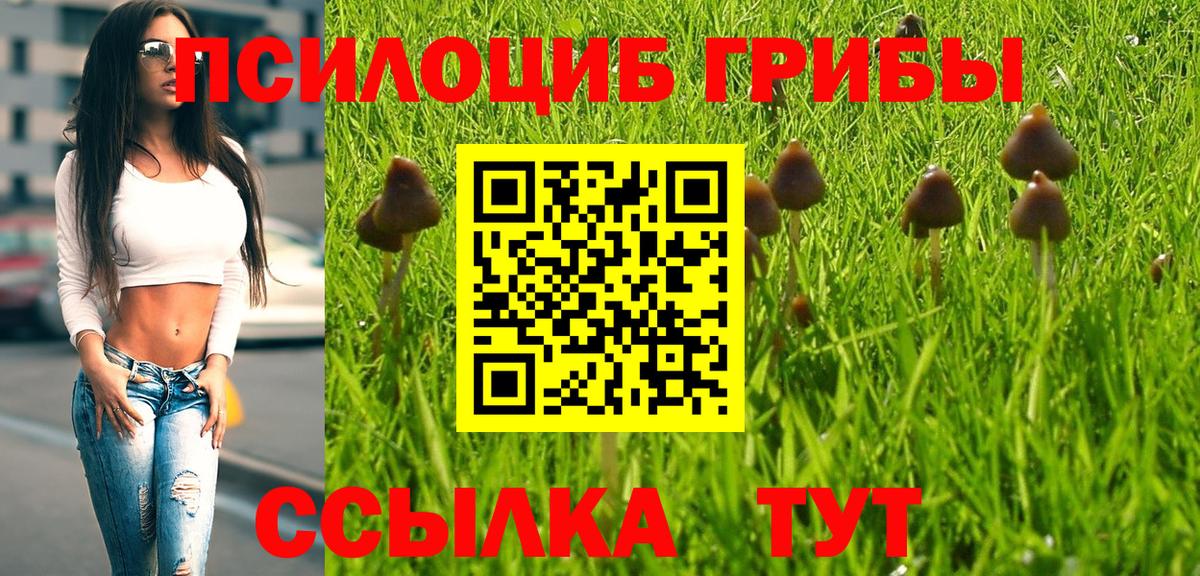 Санкт-Петербург  Псилоцибиновые грибы MAGIC MUSHROOMS  Вход с VPN 