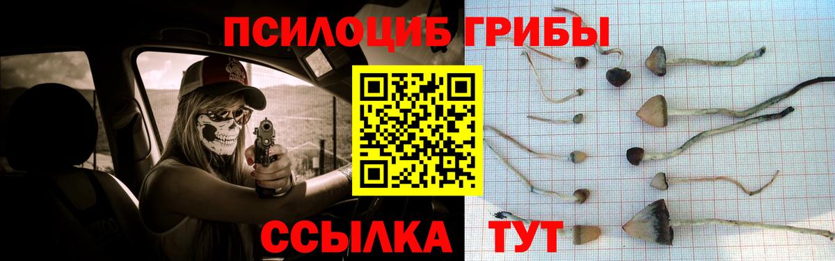 Галлюциногенные грибы GOLDEN TEACHER Санкт-Петербург