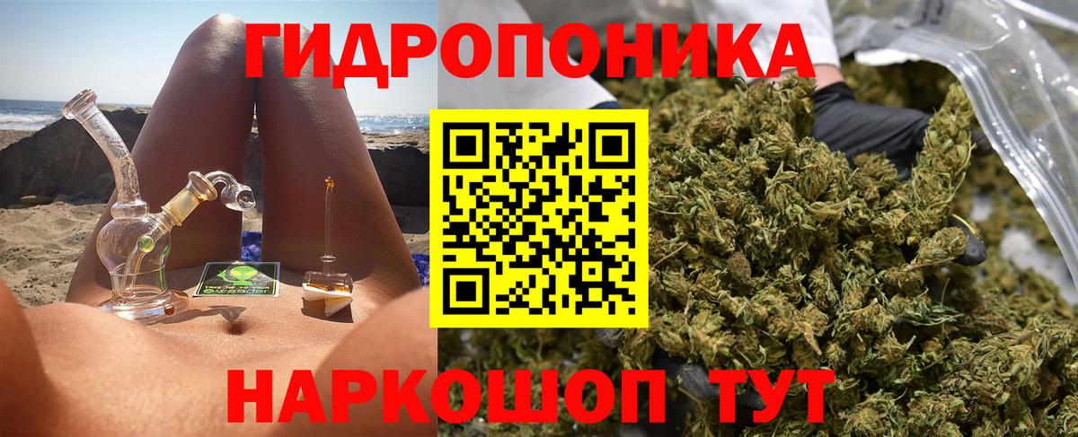 Шишки марихуана Ganja  Каннабис план  Канабис марихуана  Вход с VPN  Санкт-Петербург 